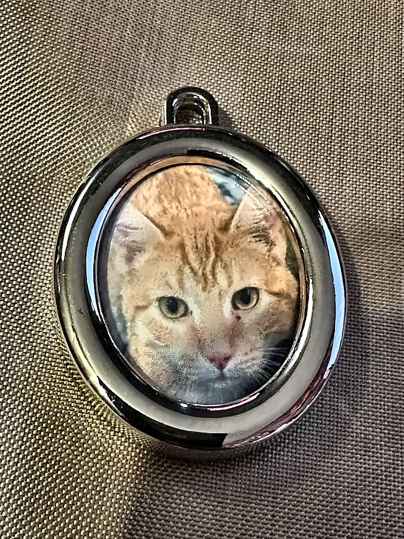 Polished silver-tone oval pendant with a close-up photo of an orange tabby cat